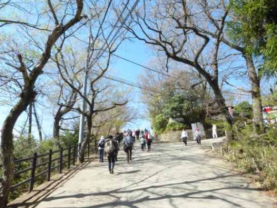画像20
